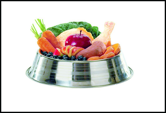 Dogs need nutrition too! Make sure Fido's bowl is filled with a variety of proteins and vegetables